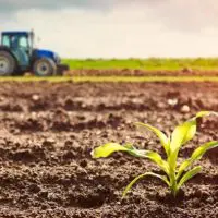 Aγροτικά προϊόντα: Στο ΦΕΚ οι συνδεδεμένες ενισχύσεις
